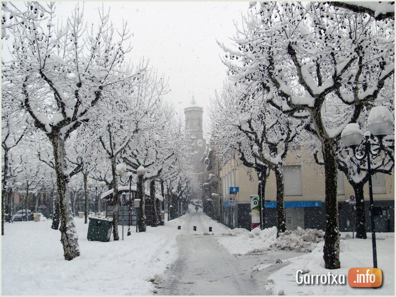 El firal d'Olot nevat