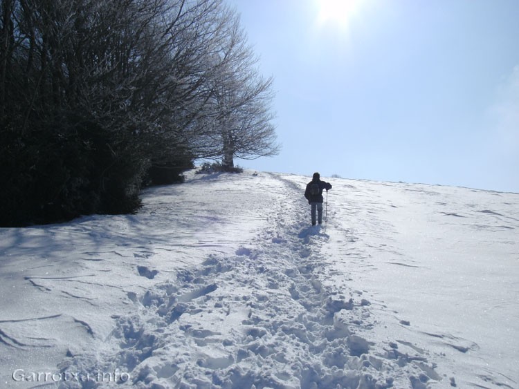 Puigsacalm nevat